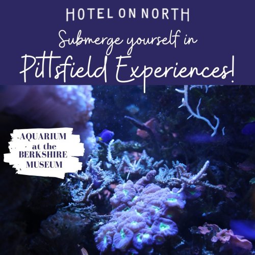 Photo post from hotelonnorth.