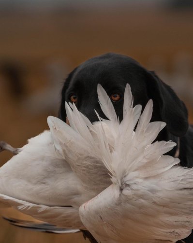 Photo post from northernskiesoutfitters.