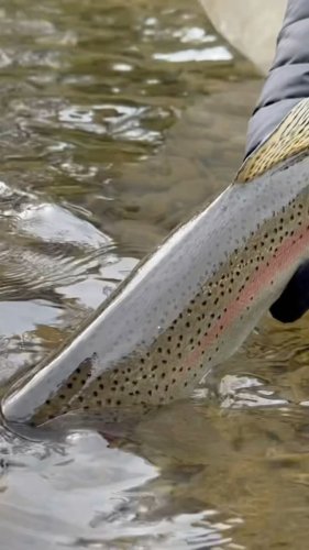 Video post from confluenceoutfitters.