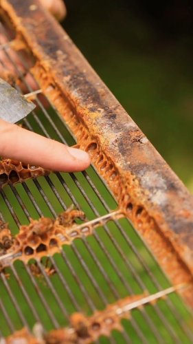 Video post from comvita_au.