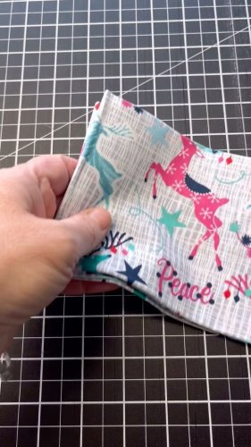 Video post from elephantinmyhandbag.
