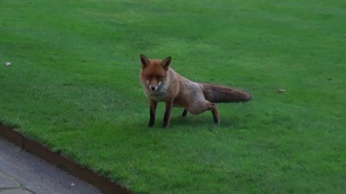 Video post from wadhamoxford.