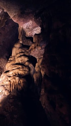 Video post from visittucson.