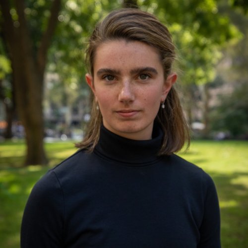 Carousel post from icetheatreofny.