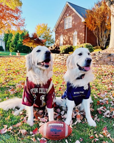 Photo post from bostoncollege.