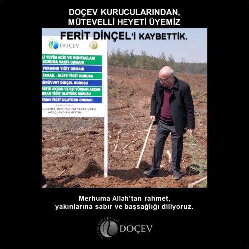 Photo post from dogavecevrevakfi.