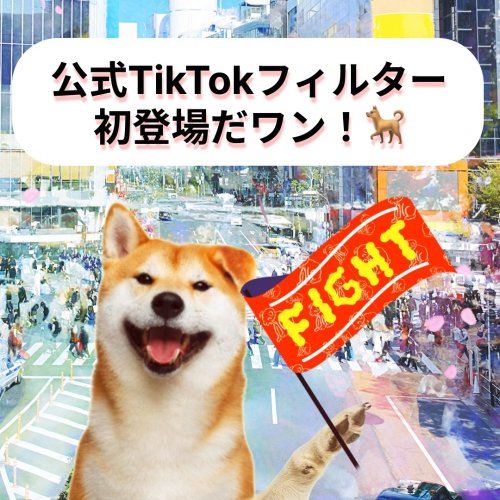 Carousel post from city_shibuya_official.