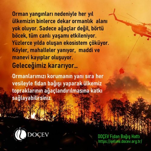 Photo post from dogavecevrevakfi.