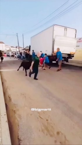 Video post from mehmetenliogluofficial.