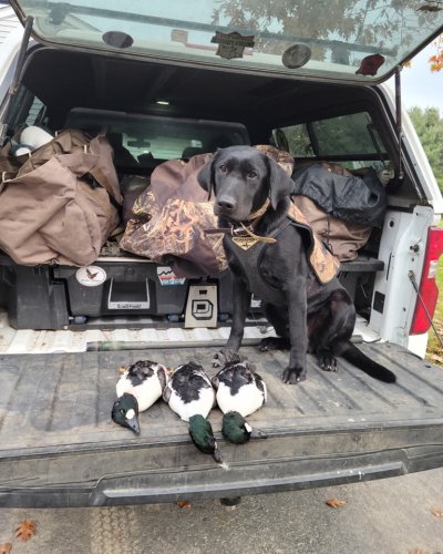 Photo post from reddogguideservice.