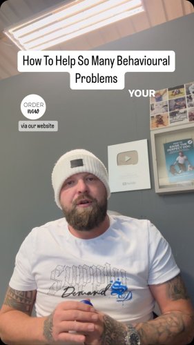 Video post from southenddogtraining.