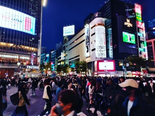 Photo post from ne_shibuya.
