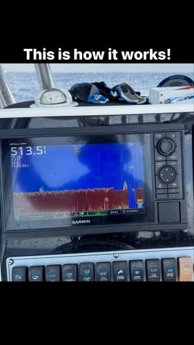 Video post from ejs_fishing_charters.