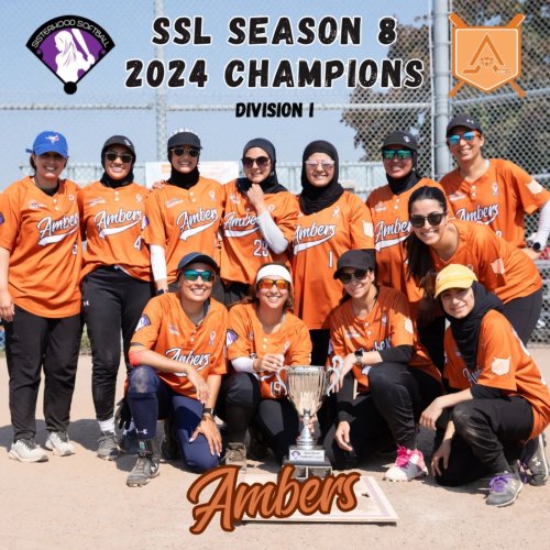 Photo post from sisterhoodsoftball.