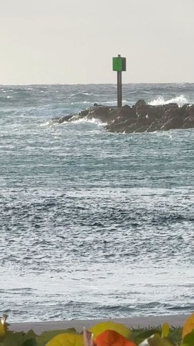 Video post from ejs_fishing_charters.