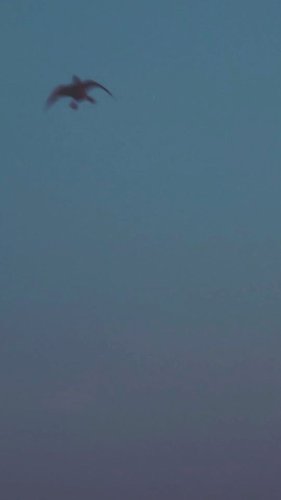 Video post from northernskiesoutfitters.