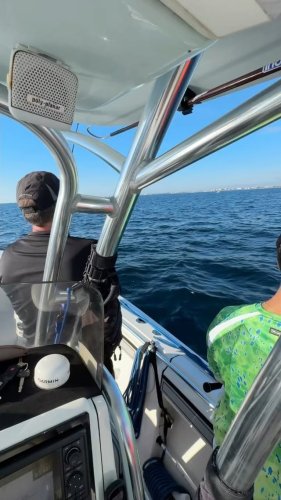 Video post from ejs_fishing_charters.