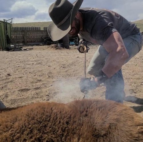 Carousel post from reddirthatco.