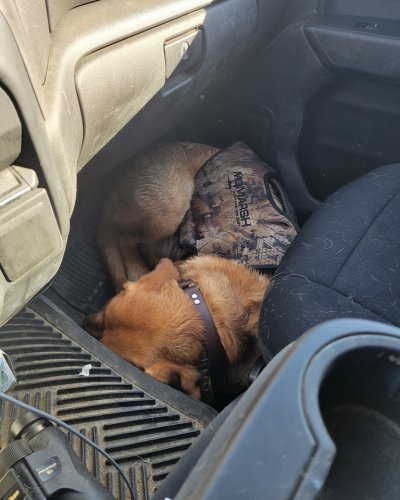 Photo post from reddogguideservice.