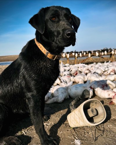 Photo post from northernskiesoutfitters.