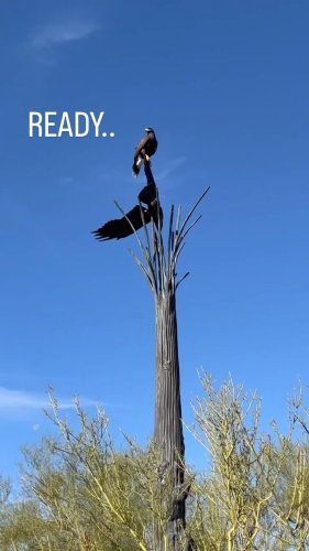 Video post from visittucson.