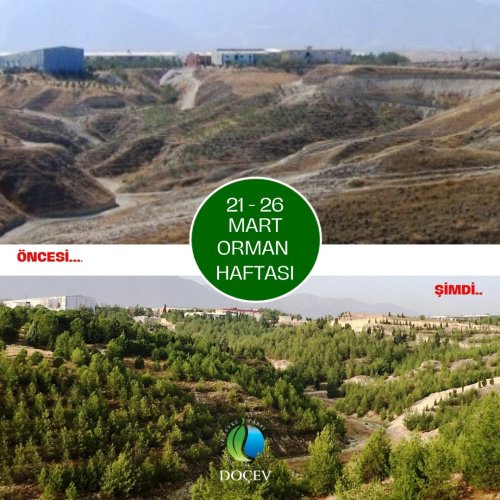 Photo post from dogavecevrevakfi.