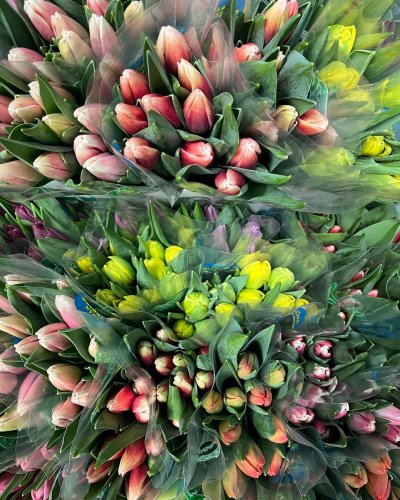 Photo post from blomsterborsen.