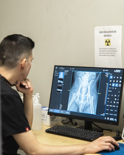 Photo post from medicalpettj.