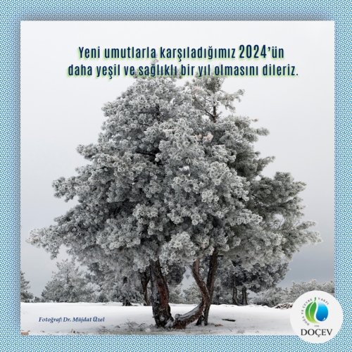 Photo post from dogavecevrevakfi.