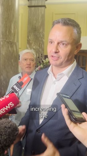 Video post from nzgreenparty.