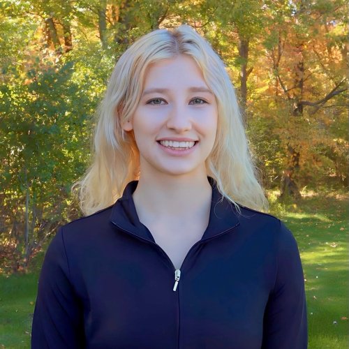 Carousel post from icetheatreofny.