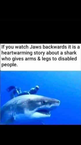 Video post from ejs_fishing_charters.