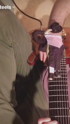 Video post from miyatamusic.