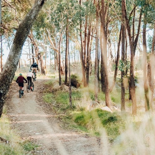 Carousel post from visitalburywodonga.