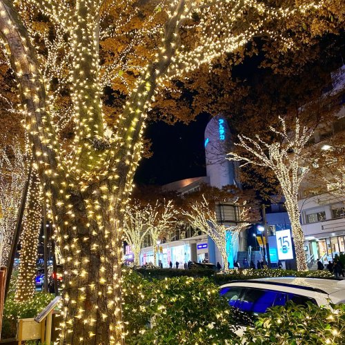 Photo post from nane.tokyo.