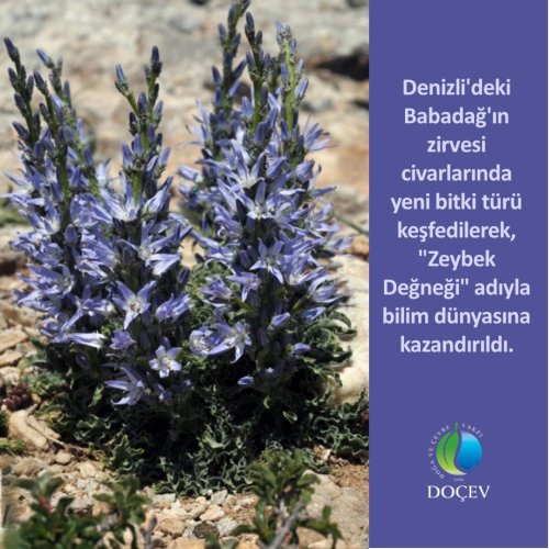 Photo post from dogavecevrevakfi.