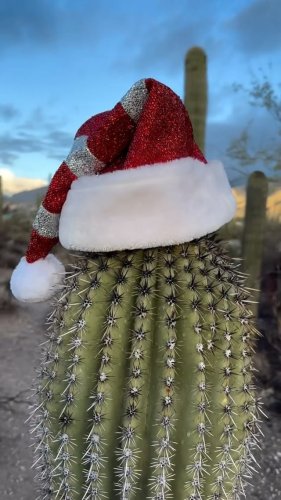 Video post from visittucson.