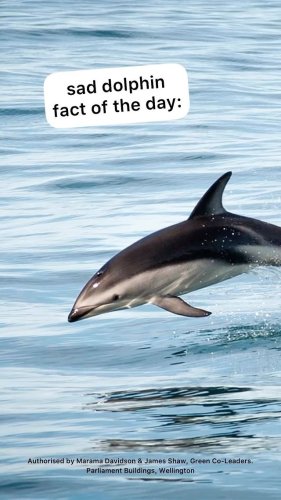 Video post from nzgreenparty.