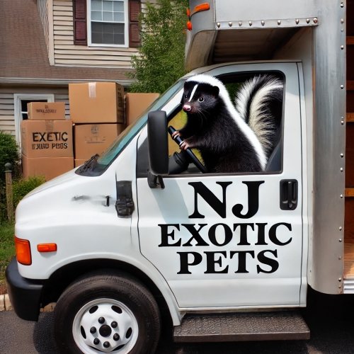 Carousel post from njexoticpets.