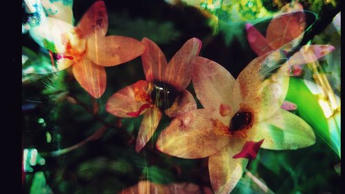 Photo post from jakbobby.