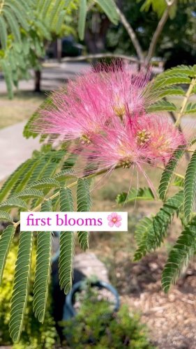 Video post from equianocoffee.