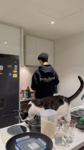 Video post from monashcoding.