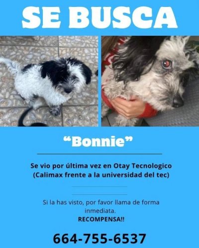 Photo post from medicalpettj.