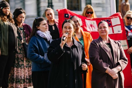 Carousel post from nzgreenparty.