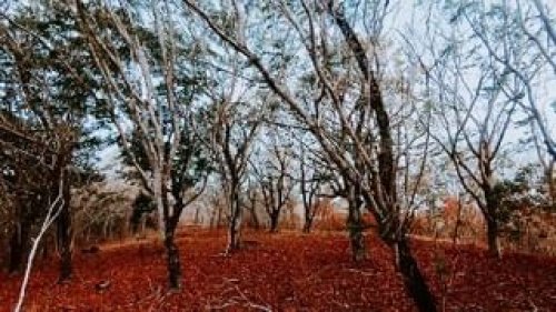 Video post from jakbobby.