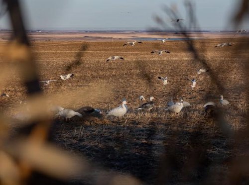 Carousel post from northernskiesoutfitters.