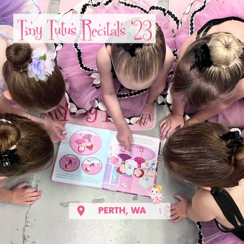 Carousel post from tinytutusballet.