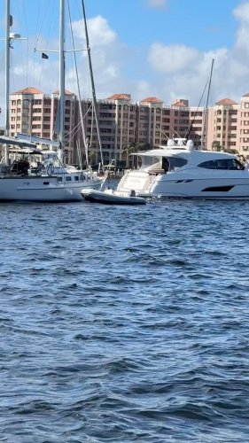 Video post from ejs_fishing_charters.