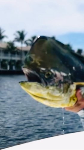 Video post from ejs_fishing_charters.