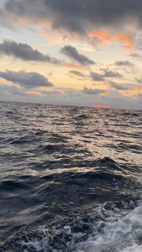 Video post from ejs_fishing_charters.